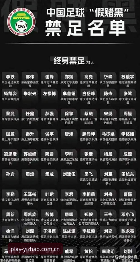 亿兆体育平台靠谱吗使用技巧 资深用户深度解析:足协第三批禁足名单,从体育迷角度看中国足球的净化之路